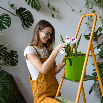 Geofabric Grow Bag for Planting