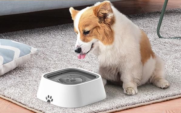 Anti- Overflow Pet Bowl🐶💧