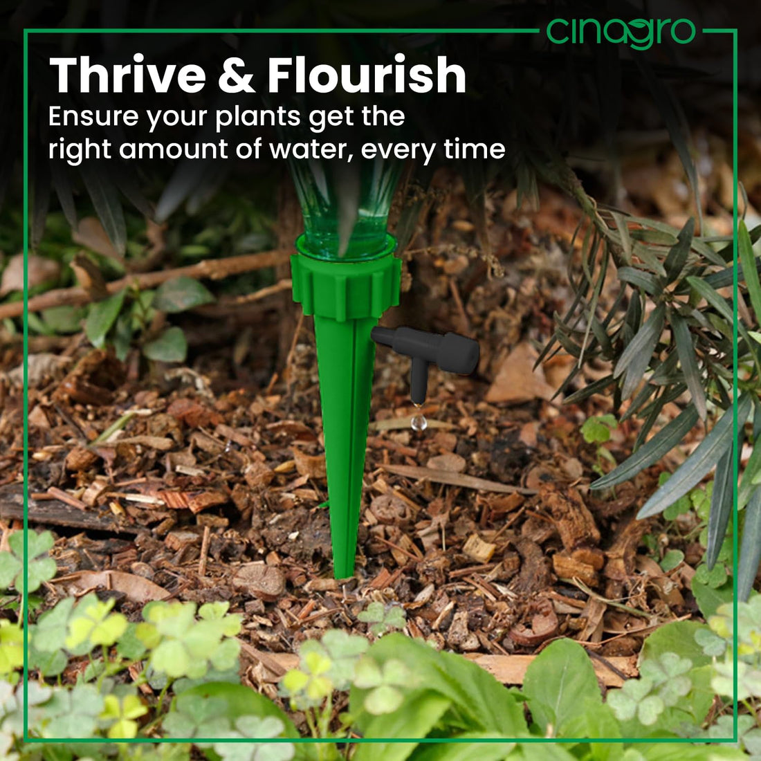 Self Watering Spikes |Adjustable (Pack of 10)