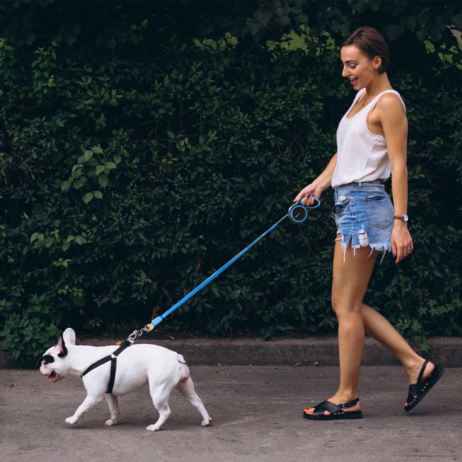 Retractable Dog Leash