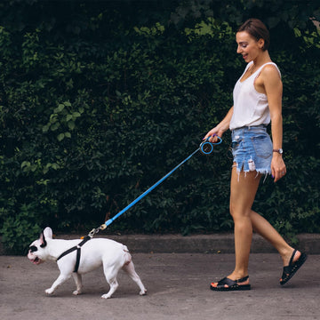 Retractable Dog Leash